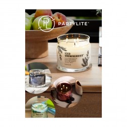 Poster "Iced Snowberries" – DIN A3